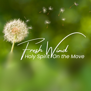 Fresh Wind