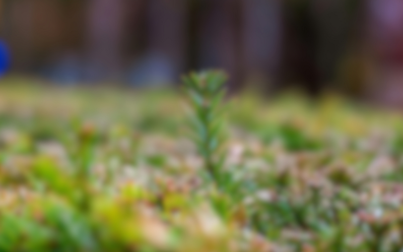 All Things New…  or All New Things?