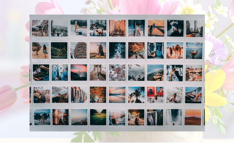 Photo Directory