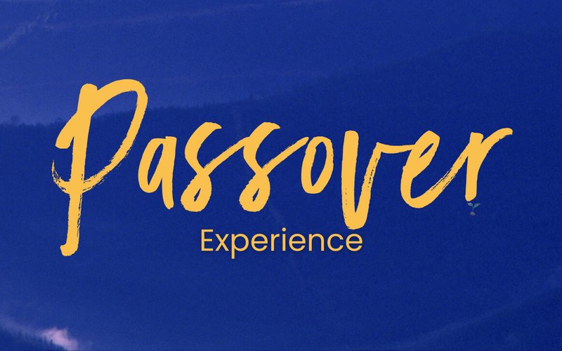 Passover Experience