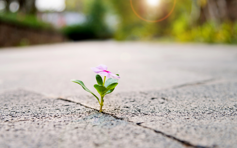 Easter Gets Personal