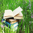 What I Learned This Summer-Part 2