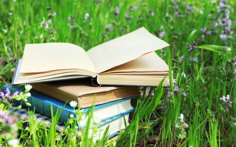 What I Learned This Summer-Part 2