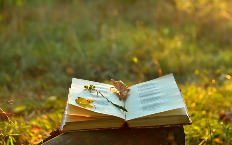 What I Learned This Summer, Part 3